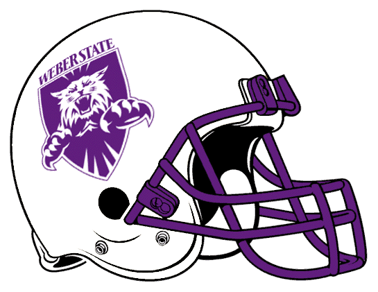 Weber State Wildcats 2001-2005 Helmet Logo diy iron on heat transfer